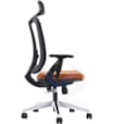 Fauteuil avec Réglages Mécaniques Multifonctionnels Challenger 170
