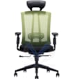 Fauteuil avec Réglages Mécaniques Multifonctionnels Challenger 170