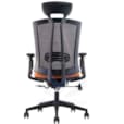 Fauteuil avec Réglages Mécaniques Multifonctionnels Challenger 170
