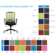 Fauteuil avec Réglages Mécaniques Multifonctionnels Challenger 170