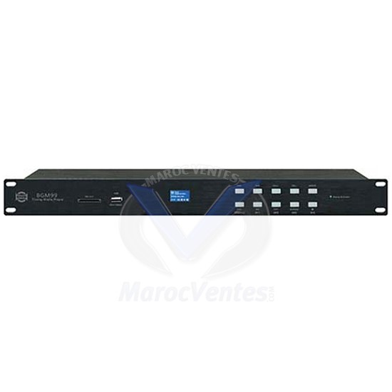 LECTEUR MULTIMEDIA USB-FM-REC PRO BGM-99