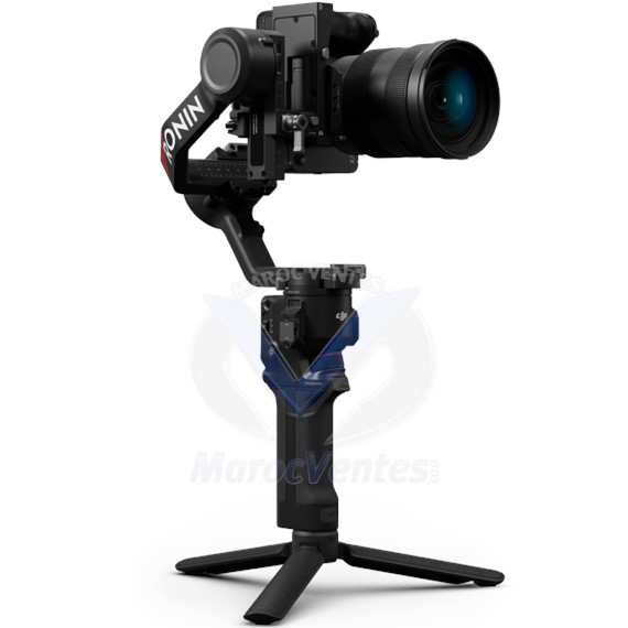 Stabilisateur DJI RS 4 Gimbal DJI-RS400