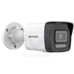 Camera IP Bullet 6MP SMART HYBRID LIGHT Avec MICRO