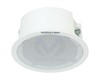 Haut-parleur Secondaire de Plafond 6W DS-QAZ0206G1-S