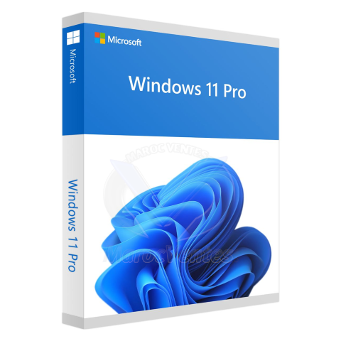 Windows 11 Professionnel 64Bit Englais Intl 1pk DSP OEI DVD FQC-10528