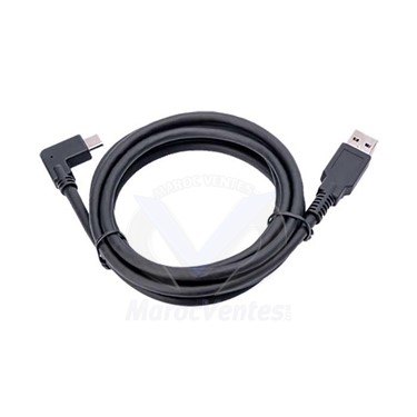 Câble USB 1.8m pour Caméra Jabra Panacast