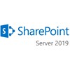 SharePoint Server 2019 SNGL OLP NL