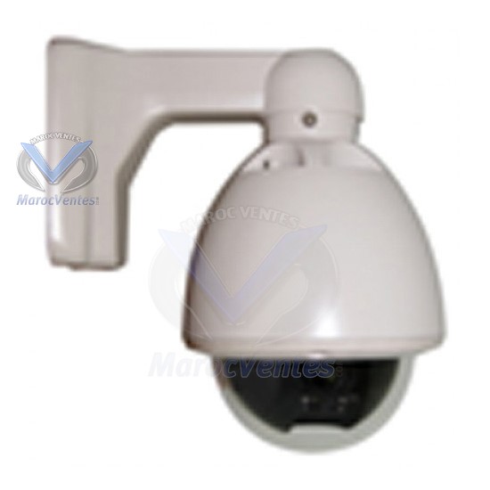 Camera Dome  EXTERIEURE 3.5 Inch D1216