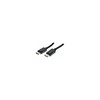 Câble DisplayPort 1.1 Cord-20m