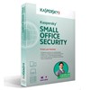 KASPERSKY Small Office Security (10 Postes + 1 Serveur) / 1an KL4528XBKFS-MAG