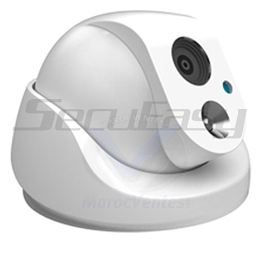 Caméra Vandalproof IR LED 700TVL SE-CA342F