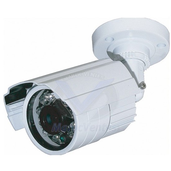 Camera Exterieur Color 1/3" SONY 480TVL VTCE24NSE