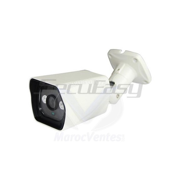 Camera IP 2 MP POE Etanche Weatherproof Infrarouge D2709