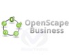 OpenScape Business V2 Base License SIE-LIC/BAS